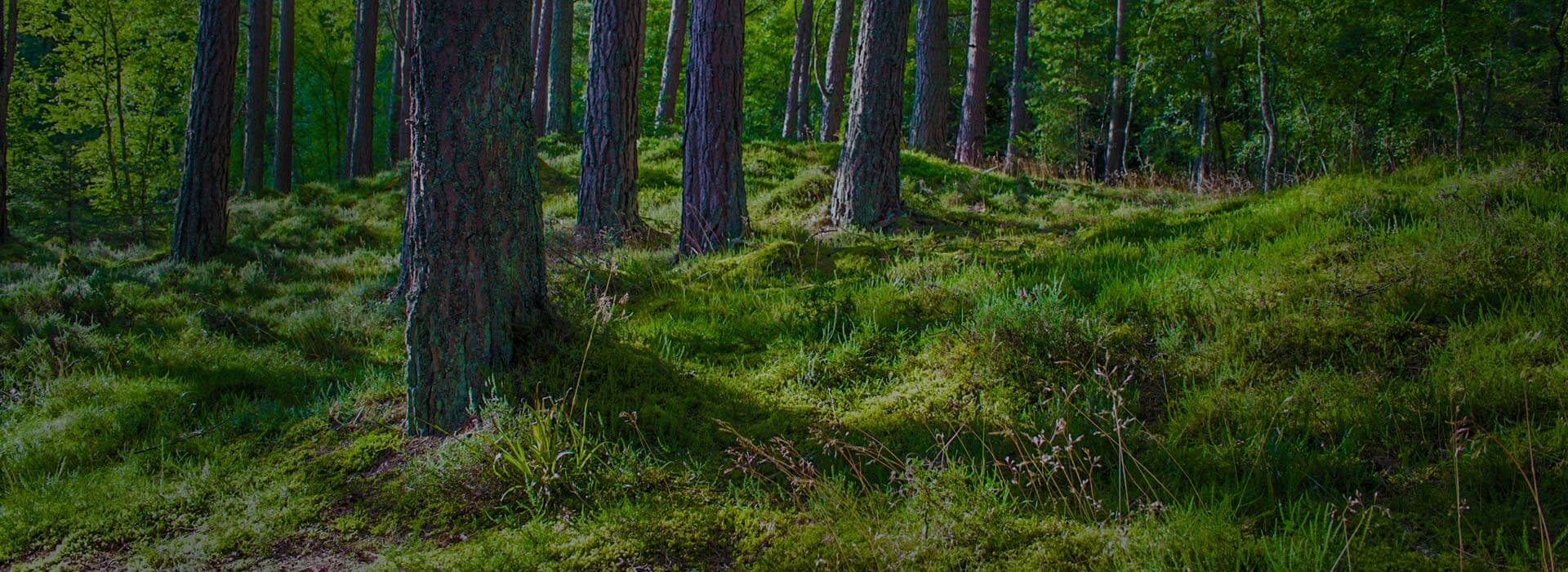 Events Superior Shooters Supply